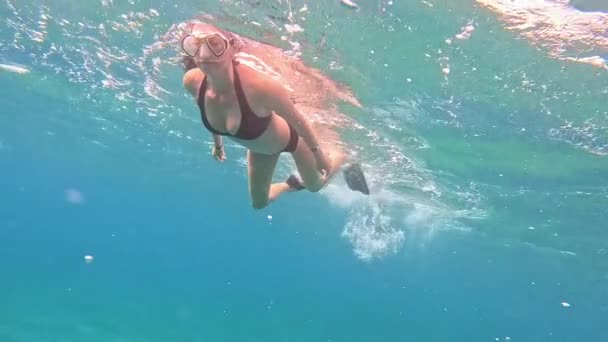布鲁内特女人带着潜水面具和管子在海里游泳水下景观 — 图库视频影像