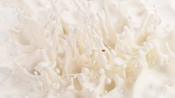 Super Slow Motion Shot Salpicar Crema Fresca 1000 Fps — Vídeos de Stock