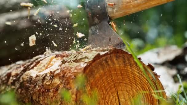 Drwal Pracujący Lesie Super Slow Motion Siekania Drewnianych Kłód Siekierą — Wideo stockowe