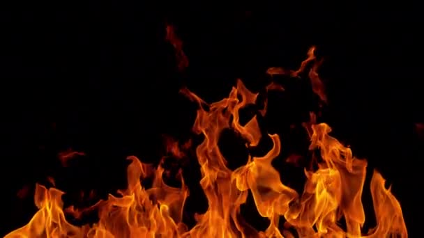 火焰在黑色背景下的超慢速运动 以1000 Fps的高速摄影机拍摄 — 图库视频影像