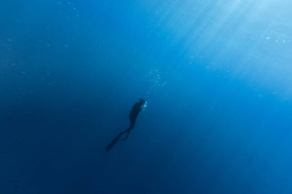 Freediver Swimming in Deep Sea With Sunrays. Young Man DIver Eploring Sea Life.