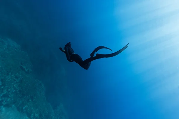 Szabadúszó Úszik Mélytengerben Napsugarakkal Fiatal Ember Diver Eploring Sea Life — Stock Fotó