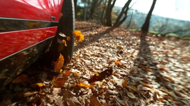 Супер Повільний Рух Автомобіля Біжить Осіннім Листям Знято Високошвидкісній Кінокамері — стокове відео