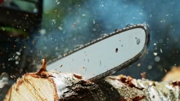 Moottorisahan Super Slow Motion Chainsaw Cutting Wooden Log Kuvattu High — kuvapankkivideo