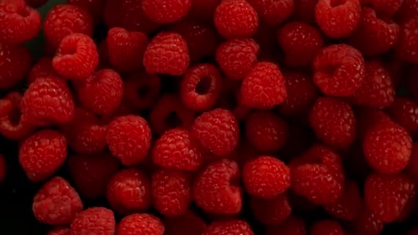 Super Slow Motion Shot Flying Rotating Fresh Raspberries 1000Fps — Stok Video