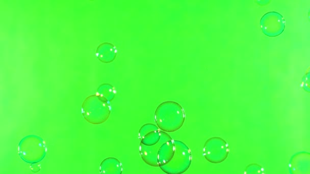 Сверхмедленное Движение Летающих Мыльных Пузырей Зеленом Фоне Экрана 1000 Кадров — стоковое видео