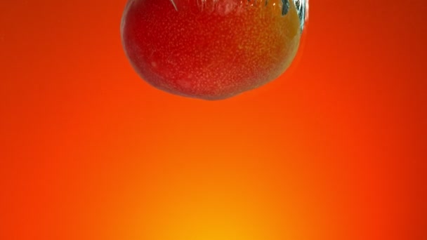 Super Zeitlupe Fallen Frische Mango Ins Wasser Auf Rotem Gradienten — Stockvideo