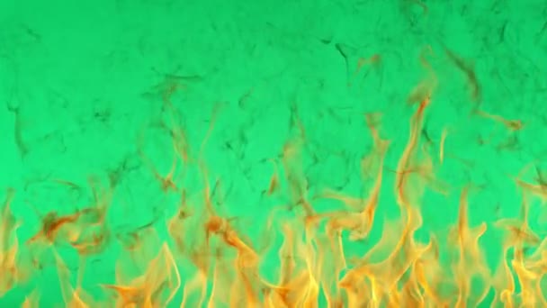 Super Zeitlupe Der Flammen Auf Grünem Bildschirmhintergrund Gefilmt Mit High — Stockvideo