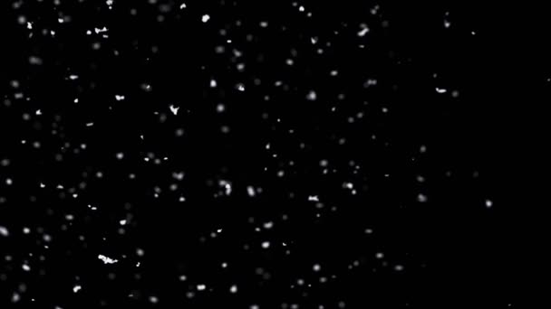 Super Slow Motion Shot Real Snowfall Izolacja Czarnym Tle Przy — Wideo stockowe