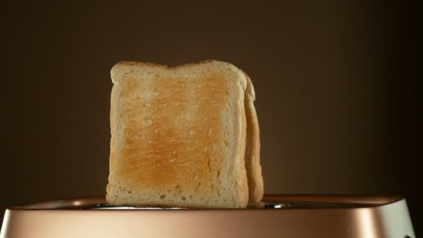 Crispy Golden Toasts Hoppa Brödrost Brons Gradient Bakgrund Super Slow — Stockvideo