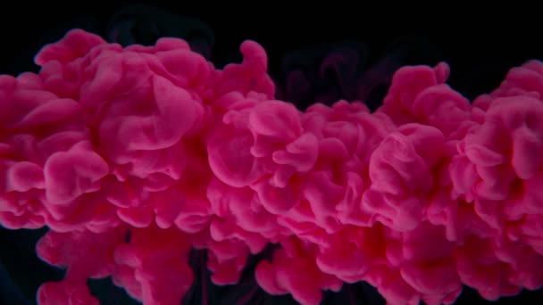 Abstrakti Tausta Värikäs Neste Kaatamalla Eristetty Mustalla Taustalla Super Hidastettuna — kuvapankkivideo