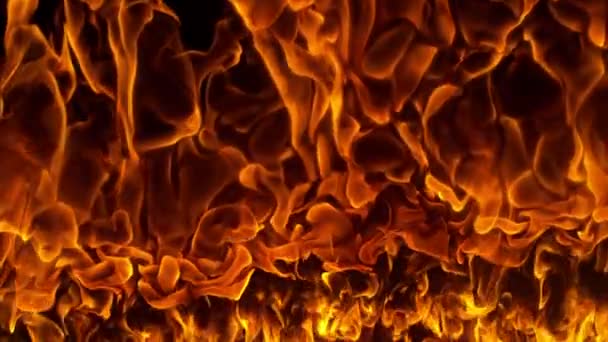火焰在黑色背景下的超慢速运动 以1000 Fps的高速摄影机拍摄 — 图库视频影像