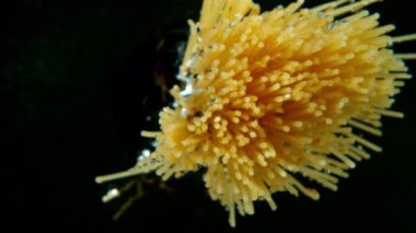 Pişmemiş İtalyan spagettisinin suya düşüşünün süper yavaş çekimi, siyah arka plan. Yüksek hızlı sinema kamerasıyla çekildi, saniyede 1000 kare. Su altı bakış açısı.