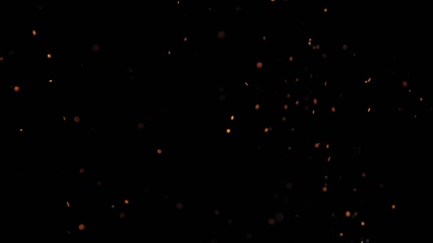Szuper Lassított Mozgású Tűz Lángok Elszigetelt Fekete Háttérrel Nagy Sebességű — Stock videók