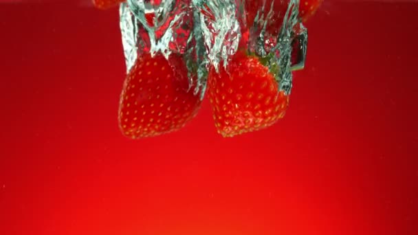 新鮮なイチゴを赤い勾配の背景に水に落下する超遅い動き 高速映画館のカメラで撮影された 1000 Fps — ストック動画
