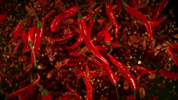 Super Slow Motion Shot Flying Fresh Chilli Peppers Isolado Fundo — Vídeo de Stock