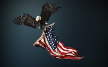 Kuzey Amerika kel kartal Amerikan bayrağı ile
