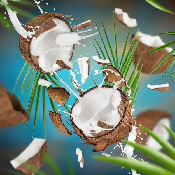 Flying coconuts with pieces on blue gradient background