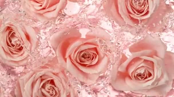 Mișcare Super Lentă Trandafir Înflorește Suprafața Apei Ploaie Vedere Sus — Videoclip de stoc