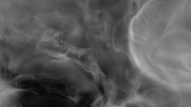 Super Slow Motion Shot Van Atmosferische Rook Abstract Achtergrond 1000Fps — Stockvideo