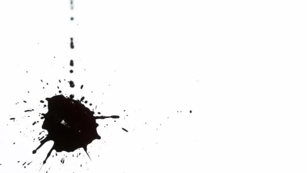 Siyah Mürekkep Düşüşünün Süper Yavaş Çekimi Beyaz Arkaplanda 1000 Fps — Stok video