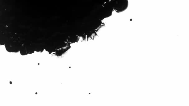 1000Fpsの白い背景で隔離される黒いインクの低下の極度の遅い動きのショット — ストック動画