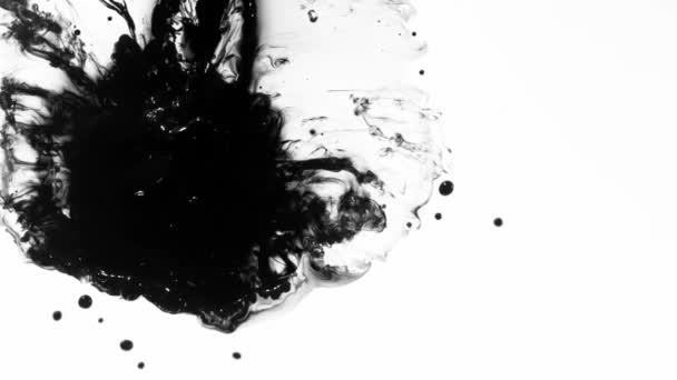 Super Slow Motion Shot Black Ink Drop Isolado Fundo Branco — Vídeo de Stock