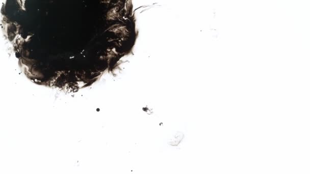 Super Slow Motion Shot Von Black Ink Drop Isoliert Auf — Stockvideo