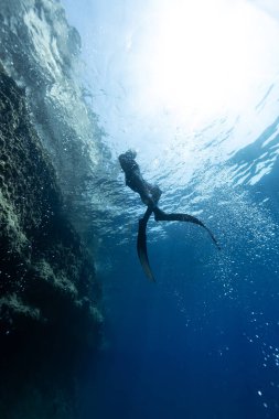 Freediver, Güneş Işıklarıyla Derin Deniz 'de Yüzüyor. Genç adam dalgıcı Deniz Yaşamı Arıyor.