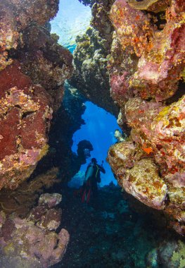 Scuba dalgıcı güneş ışınlarıyla sualtı mağarasına yüzüyor. Genç adam dalgıcı Deniz Yaşamı Arıyor.