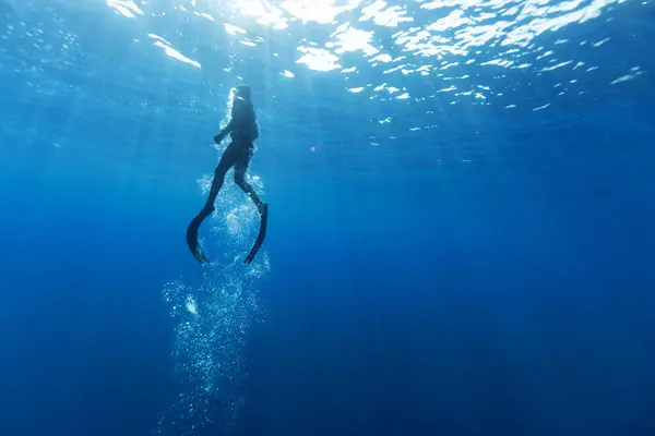 Фрідайвер Плаває Глибокому Морі Сонячними Променями Молода Людина Дінвер Морське Стокове Фото