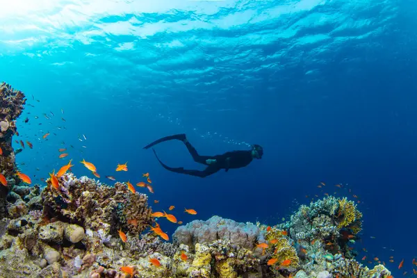 Freediver Pływanie Głębokim Morzu Promieni Słonecznych Młody Człowiek Diver Eploring — Zdjęcie stockowe