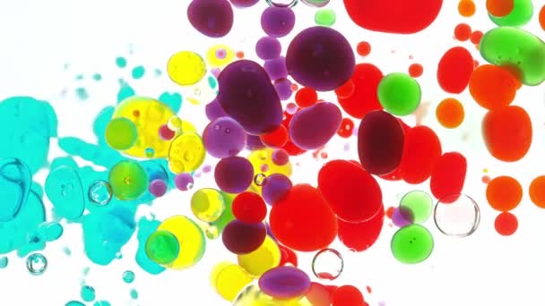 Beyaz Arkaplanda Hareket Eden Renk Yağı Baloncuklarının Süper Yavaş Çekimi — Stok video