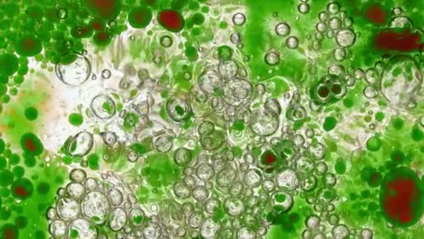 Super Slow Motion Shot Moving Color Oil Bubbles บนพ นหล — วีดีโอสต็อก