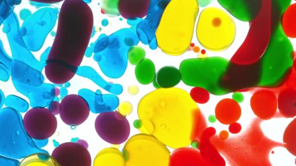 Super Lassú Motion Shot Moving Color Oil Buborékok Fehér Háttér — Stock videók