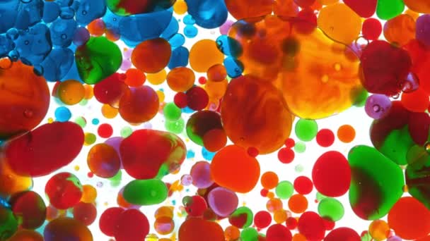Super Slow Motion Shot Moving Color Oil Bubbles Fundo Branco — Vídeo de Stock