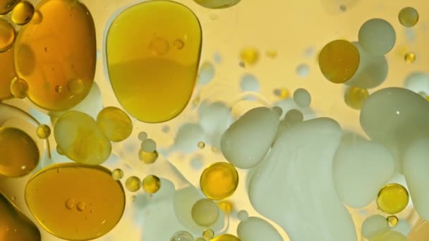 Super Slow Motion Shot Moving Oil Milk Bubbles Golden Background — Stock Video