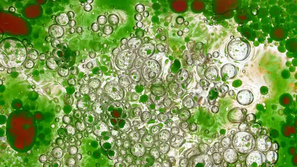 Freeze Motion Shot Moving Color Oil Bubbles Fundo Branco Imagens De Bancos De Imagens Sem Royalties