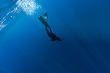 Freediver, Güneş Işıklarıyla Derin Deniz 'de Yüzüyor. Genç adam dalgıcı Deniz Yaşamı Arıyor.
