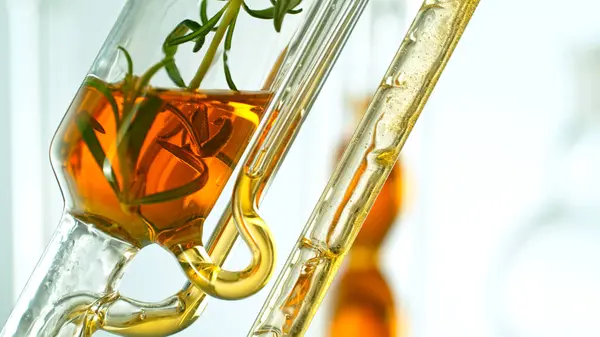 Etherische Olie Halen Uit Natuurlijke Stoffen Bloemen Gele Olie Stroomt — Stockfoto