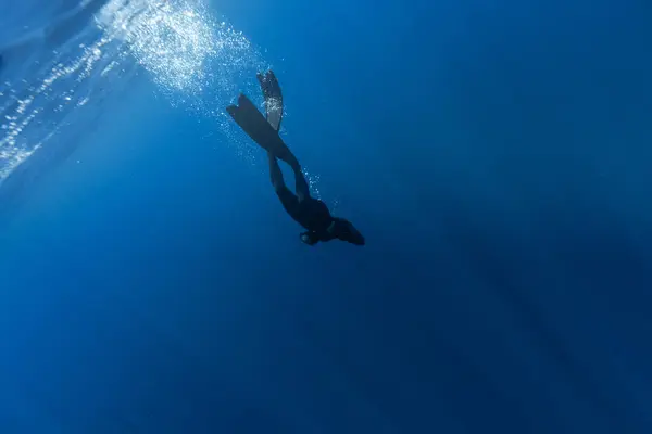 Fridykare Simmar Djuphavet Med Solstrålar Unge Man Diver Eploring Sea Royaltyfria Stockbilder