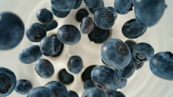 Fresh Blueberries Falling Yoghurt Cream Top View Stock Photo
