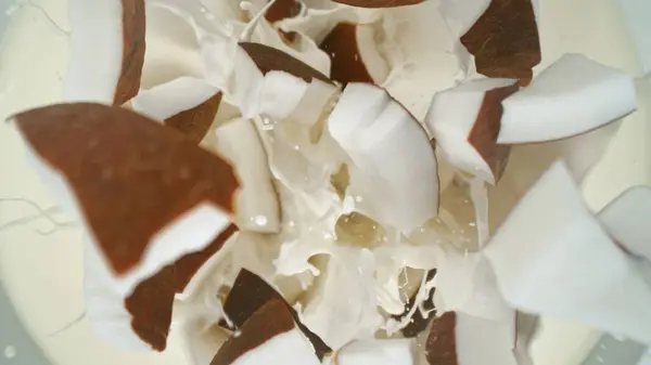 Fresh Coconut Pieces Falling Cream Top View Imágenes De Stock Sin Royalties Gratis