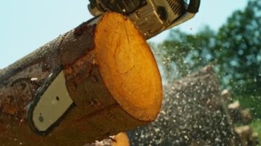 Tahta Kütüğü Kesen Elektrikli Testere Süper Yavaş Hareketi. Yüksek Hız Sinema Kamerası, 1000 fp..