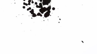 Siyah mürekkep düşüşünün Süper Yavaş Çekimi Beyaz Arkaplanda 1000 fps 'te izole edildi.