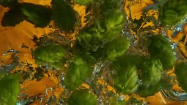 Sudaki taze kozalakları döndürmek için süper yavaş çekim. Sualtı çekimi. Yüksek hızlı sinema kamerası, 1000 fps. .