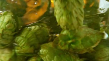 Sudaki taze kozalakları döndürmek için süper yavaş çekim. Sualtı çekimi. Yüksek hızlı sinema kamerası, 1000 fps. .