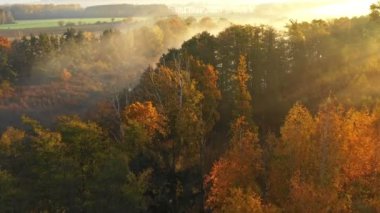 Dağlardaki göz kamaştırıcı renkli sonbaharın, kırmızı ve sarı sonbahar ağaçlarının, sisli dağların ve sıcak sabah güneşinin hava görüntüsü. .