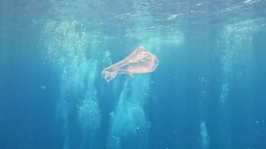 Okyanus kirliliği, plastik torba Kızıl Deniz 'de mavi suyun altında yüzüyor.