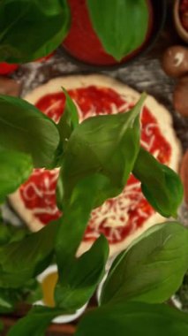 Düşen Basil 'in Süper Yavaş Hareketi Pizza Hamuru Üzerine Yapraklar. Yüksek Hız Sineması Kamerası, 1000fps, Yüksek Hız Cine Bot 'a Yerleştirilmiş. Hareketli Kamera, Takip Eden Nesneler.